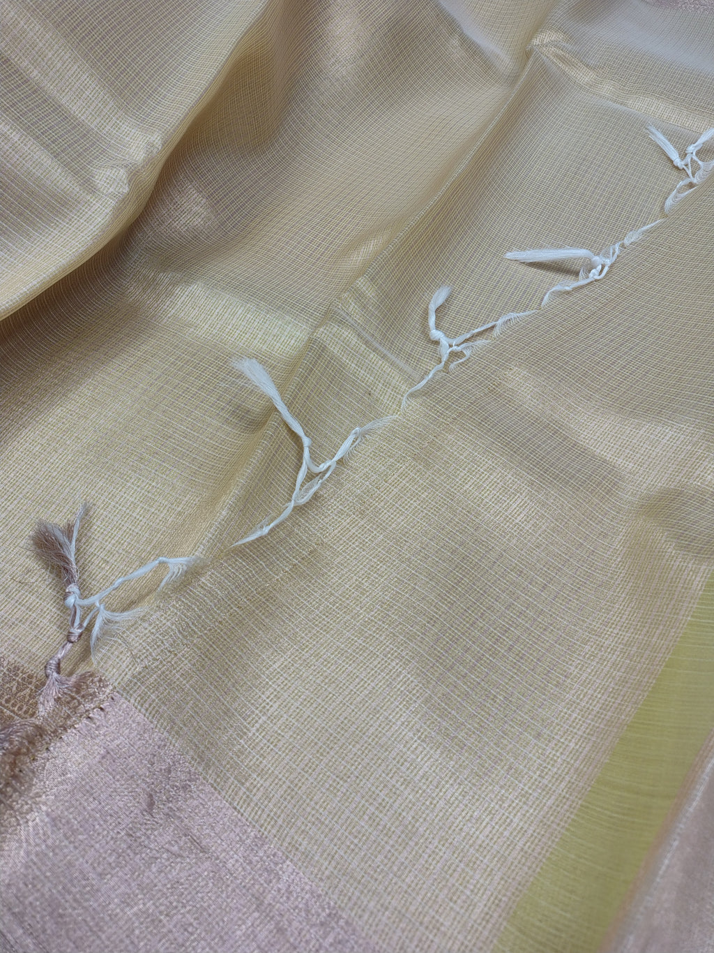 Tussar Banarasi Glass Check Saree