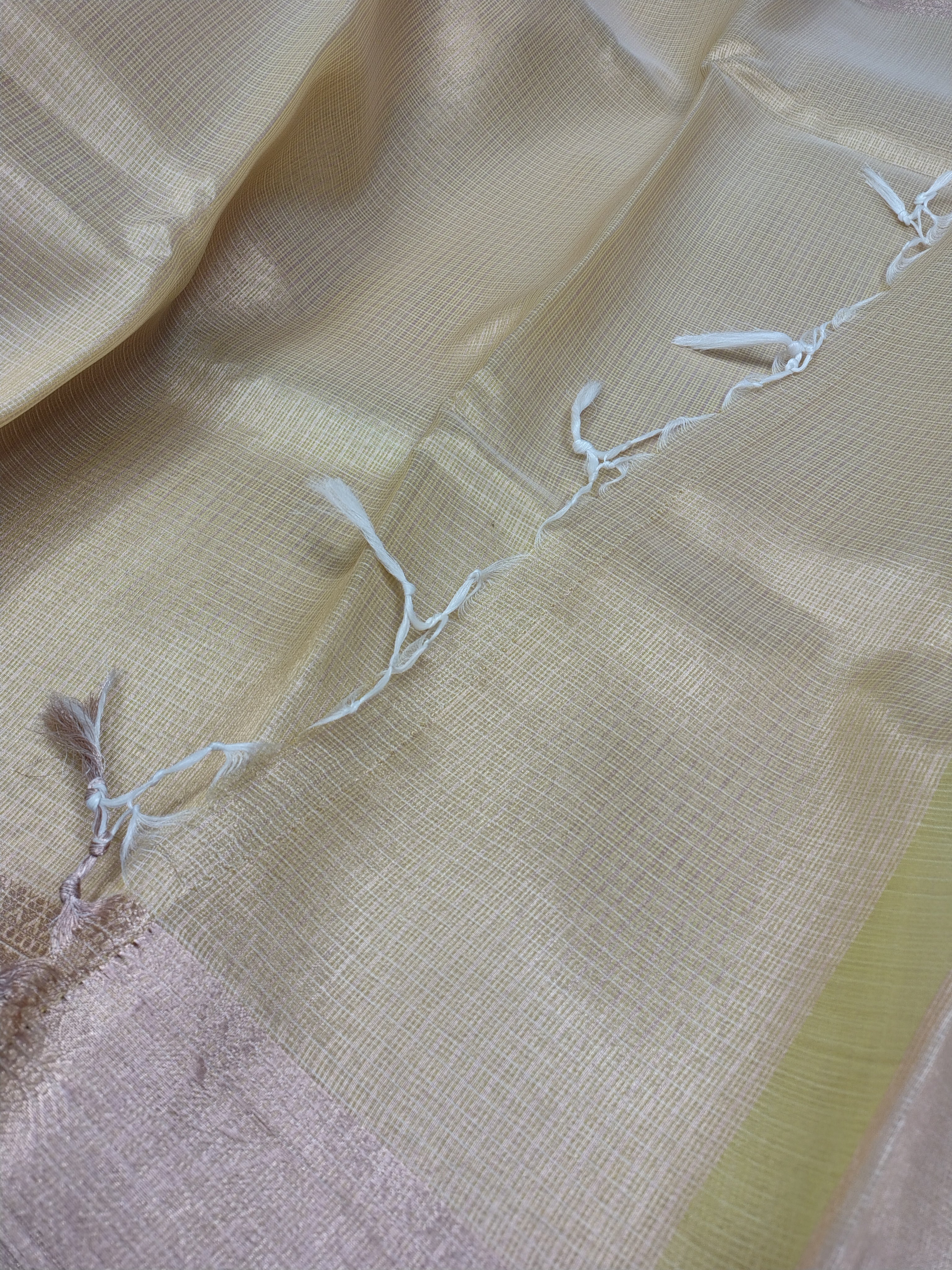 Tussar Banarasi Glass Check Saree